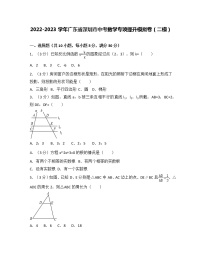 2022-2023学年广东省深圳市中考数学专项提升模拟卷（二模）含解析