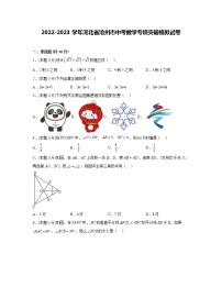 2022-2023学年河北省沧州市中考数学专项突破模拟试卷(含解析)