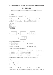 辽宁省沈阳市第一二六中学2022-2023学年九年级下学期开学考试数学试题