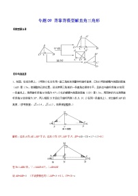 中考经典几何模型与最值问题 专题09 背靠背模型解直角三角形