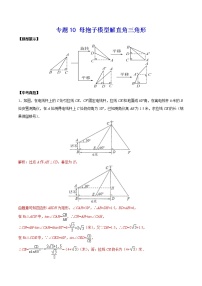 中考经典几何模型与最值问题 专题10 母抱子模型解直角三角形