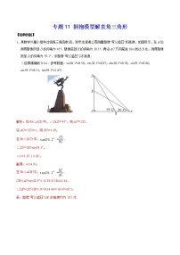 中考经典几何模型与最值问题 专题11 拥抱模型解直角三角形