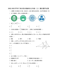 2022-2023学年广西百色市靖西市九年级（上）期末数学试卷(含解析）