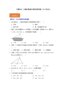 专题06 三角形基础分类巩固训练（3大考点）-七年级数学下册《高分突破•培优新方法》（苏科版）