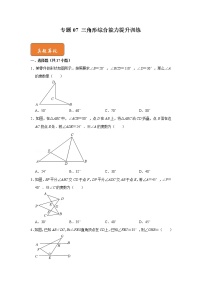 专题07 三角形综合能力提升训练-七年级数学下册《高分突破•培优新方法》（苏科版）