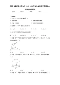 湖北省襄阳市老河口市2022-2023学年九年级上学期期末水平测试数学试题（含详细答案）