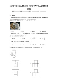 山东省枣庄市台儿庄区2022-2023学年九年级上学期期末数学试题（含详细答案）