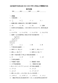 山东省济宁市鱼台县2022-2023学年七年级上学期期末考试数学试题(含答案)