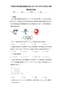 云南省玉溪市峨山彝族自治县2022-2023学年八年级上学期期末数学试题(含答案)