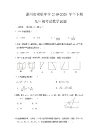 河南省漯河市实验中学2019-2020学年九年级下学期+第一次月考数学试卷