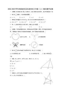 河南省许昌市禹州市2022-2023学年八年级上学期期末数学试题（含答案）