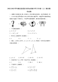 湖北省武汉市洪山实验中学2022-2023学年八年级上学期期末数学试卷（含答案）