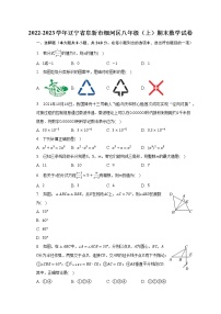 2022-2023学年辽宁省阜新市细河区八年级（上）期末数学试卷（含解析）