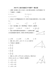 2023年上海市杨浦区中考数学一模试卷（含解析）