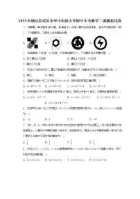 2023年湖北省武汉市华中科技大学附中中考数学二调模拟试卷（含解析）