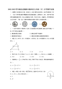 2022-2023学年湖北省襄阳市襄州区九年级（下）开学数学试卷（含解析）