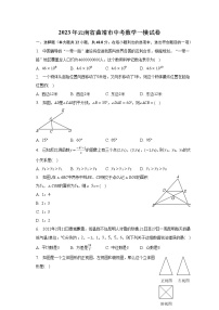 2023年云南省曲靖市中考数学一模试卷（含解析）