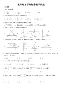 山东省聊城市阳谷县2023年七年级下学期期中数学试题【含答案】