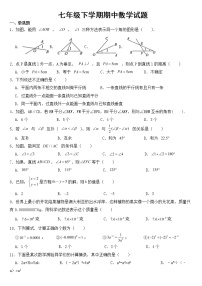 山东省泰安市肥城市2023年七年级下学期期中数学试题【含答案】