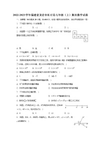 2022-2023学年福建省龙岩市长汀县七年级（上）期末数学试卷（含解析）