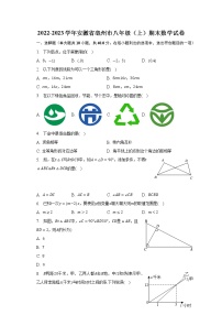 2022-2023学年安徽省亳州市八年级（上）期末数学试卷（含解析）