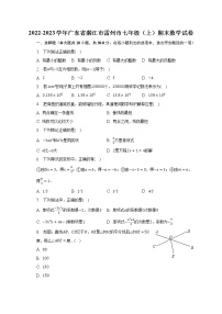 2022-2023学年广东省湛江市雷州市七年级（上）期末数学试卷（含解析）