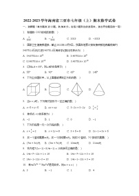 2022-2023学年海南省三亚市七年级（上）期末数学试卷（含解析）