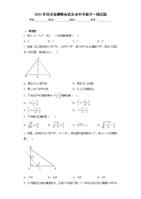 2023年河北省邯郸市武安市中考数学一模试题（含详细答案）