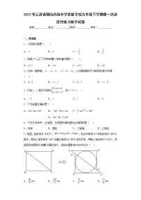 2023年江苏省锡山高级中学实验学校九年级下学期第一次适应性练习数学试题（含详细答案）