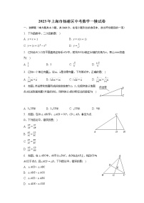 2023年上海市杨浦区中考数学一模试卷（含答案）