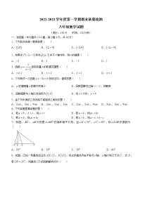 安徽省六安市金安区2022-2023学年八年级上学期期末数学试卷（含答案）