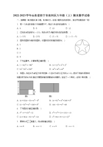 山东省济宁市兖州区2022-2023学年八年级上学期期末数学试卷（含答案）