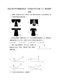 2022-2023学年湖南省长沙一中双语中学八年级（上）期末数学试卷（含解析）