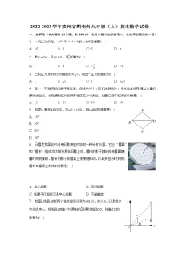 2022-2023学年贵州省黔南州九年级（上）期末数学试卷（含解析）