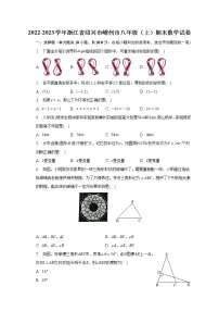 2022-2023学年浙江省绍兴市嵊州市八年级（上）期末数学试卷（含解析）
