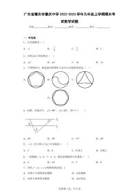 广东省肇庆市肇庆中学2022-2023学年九年级上学期期末考试数学试题