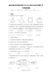 重庆市渝中区巴蜀中学校2022-2023学年九年级下学期3月月考数学试题