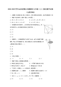 山东省烟台市栖霞市2022-2023学年七年级上学期期末数学试卷（五四学制）（含答案）