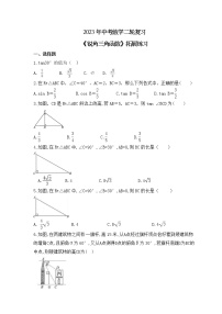 2023年中考数学二轮复习《锐角三角函数》拓展练习（含答案）