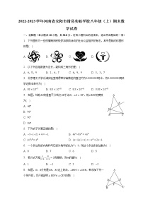 2022-2023学年河南省安阳市滑县实验学校八年级（上）期末数学试卷（含解析）