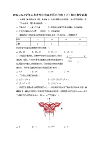 2022-2023学年山东省枣庄市山亭区八年级（上）期末数学试卷（含解析）