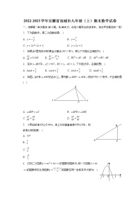 2022-2023学年安徽省宣城市九年级（上）期末数学试卷（含解析）