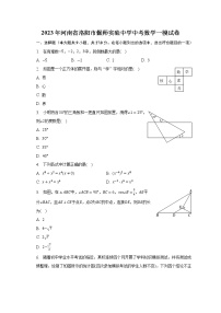 2023年河南省洛阳市偃师实验中学中考数学一模试卷（含解析）