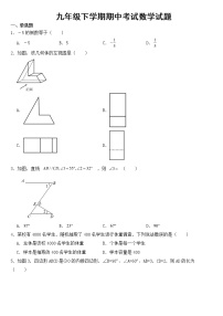 江西省吉安市2023年九年级下学期期中数学试题【含答案】