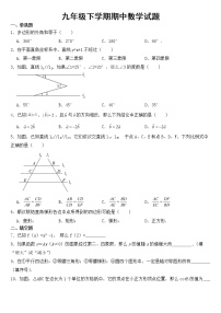 上海市普陀区2023年九年级下学期期中数学试题【含答案】