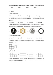 2023年湖北省武汉市洪山区九年级下学期3月月考数学试卷（含答案）