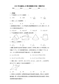 2023年安徽省c20教育联盟九年级一模数学试（含详细答案）