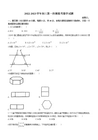 2023年广东省佛山市南海区实验中学九年级下学期一模数学试卷（含答案）