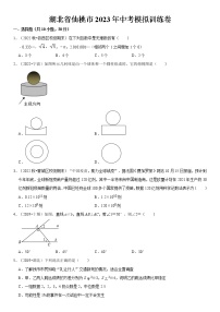 2023年湖北省仙桃市中考数学模拟训练卷（含答案）