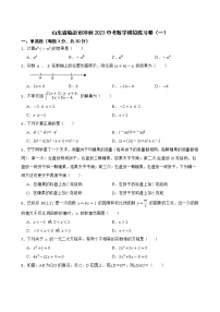 2023年山东省临沂市冲刺中考数学模拟练习卷（一）（含答案）